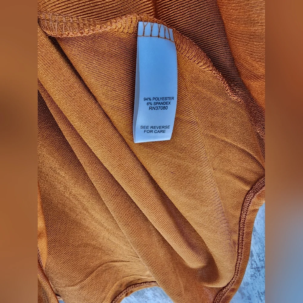 Cato Rive Gauche Pumpkin Spice Top Plus 22/24W Boho Y2K Button Front Fall Blouse - Picture 4 of 6